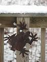 2008-12-07_First_Snow 057